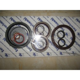 serie paraoli/anelli di tenuta cambio zf 1250298907 iveco 8124614