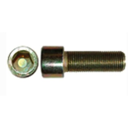 vite testa tonda inserto esagonale 10x1,25x20 iveco 14307330