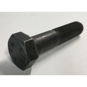 vite testa esagonale 12x1,25x55 iveco 16240430