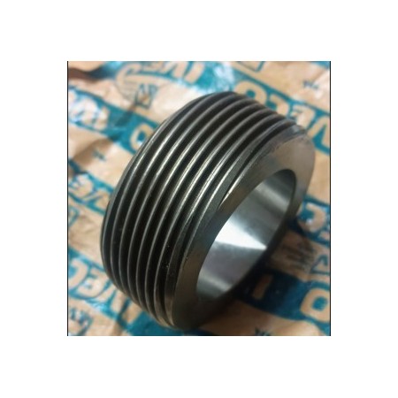 vite senza fine cambio 70.14 iveco 4646441