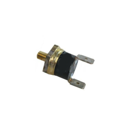termostato/interruttore regolatore Eberspacher 251436010003