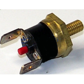 interruttore di surriscaldamento d24w e d30w  Eberspacher 251623440000