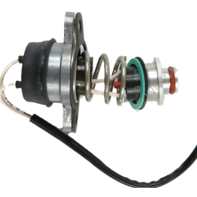 interruttore/sensore surriscaldamento d7w Eberspächer 251806994000