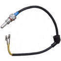 sensore di temperatura hidronic 10 d9w 12/24v Eberspacher 251816990114