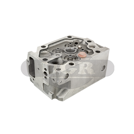 testata singola motore a gas man 51031016094