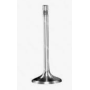 valvola scarico fuer evb man 51041010479