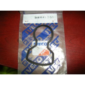 guarnizione alternatore iveco 7984047