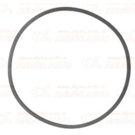 anello di tenuta pompa iniezione 180xsp2,5 man 06569364345