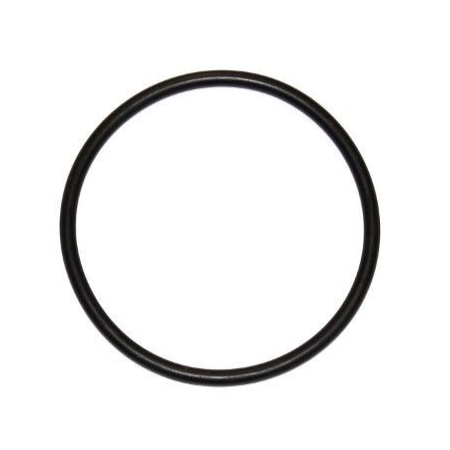 anello di tenuta aspirazione 88x98xsp5 nbr man 06569303036