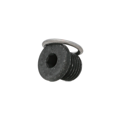 tappo chiusura vaschetta olio 14x1,5x15 testa tonda con esagono 6 man 6080420603