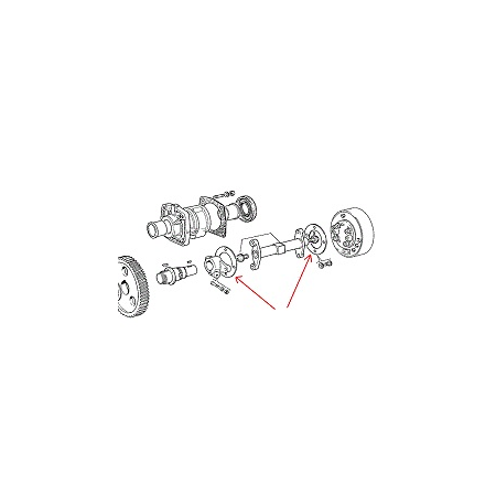 spessori/lamerino albero pompa iniezione 170 e 190 iveco 4538013