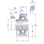 Unità cuscinetto supporto ritto ghisa d30 A45 L165 ingrass lk ucp206
