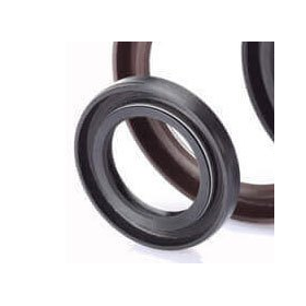 paraolio 22x40x0,6 iveco 224006