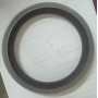 anello paraolio 130x170x17 zf breda 0199853