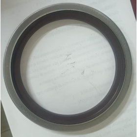anello paraolio 130x170x17 zf breda 0199853