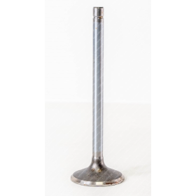 valvola di aspirazione motore iveco 4638617