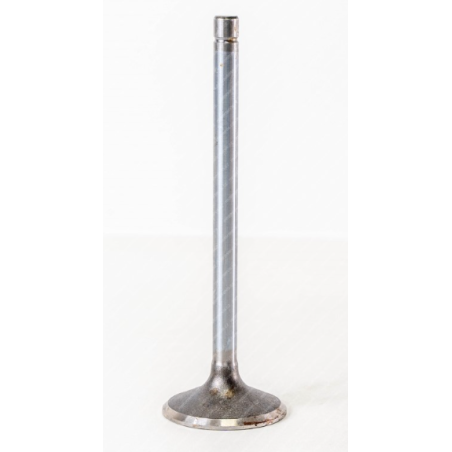 valvola di aspirazione motore iveco 4638617