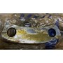 mostrina/piastra perno corona differenziale om110 iveco 4693410 4637877