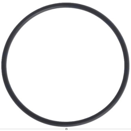 anello/o ring gga 063,09x3,53x70 iveco 4898876 503622684