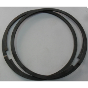 coppia anelli/segmenti per il manicotto scarico Ø 102  iveco 4723744