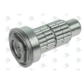 perno satelliti del ponte differenziale iveco 4206475 116067