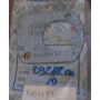 guarnizione piana motore pompa idroguida lema 29288.00 iveco 98428770