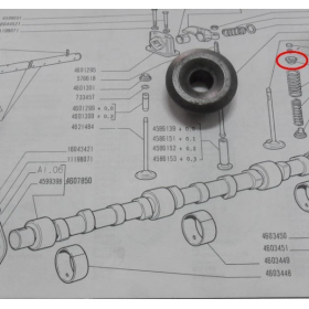 scodellino superiore della molla valvola motore iveco 4578175