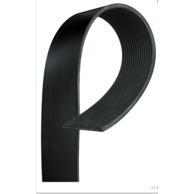cinghia di comando poly-v 15pk954 larghezza 53 iveco 4860584