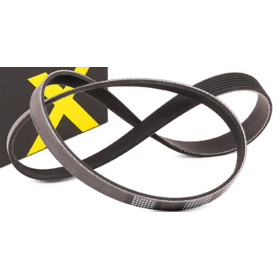cinghia comando/servizi Poly-V alt/servo/pompa 7pk1076 iveco 500388408
