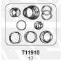 kit rev perno a chiave sn 420/360/300 bpw 0980100142 acerbi 125447403 errevi 711910