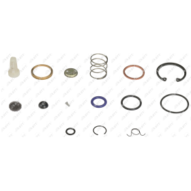 kit revisione valvola pneumatica di scarico iveco 8124231