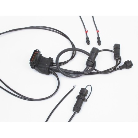 cablaggio elettrico completo centraline ecu haldex 950364418