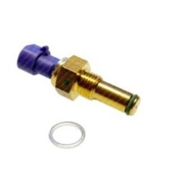sensore press carburante/intasamento filtro gasolio iveco 5801567640