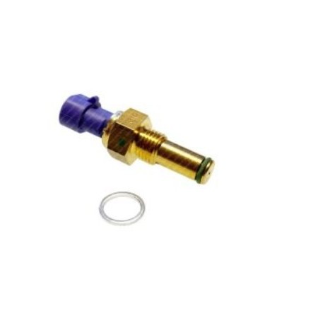 sensore press carburante/intasamento filtro gasolio iveco 5801567640