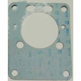 guarnizione piana pompa idroguida motore iveco 4850986