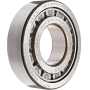 cuscinetto cambio zf 075011800101 iveco 1905057