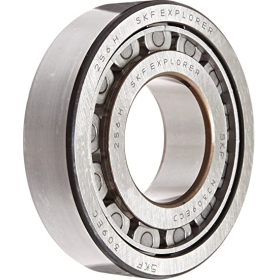 cuscinetto cambio zf 075011800101 iveco 1905057