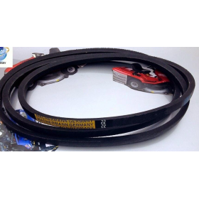 cinghie coppia B47 17x1269 la  iveco 4648519