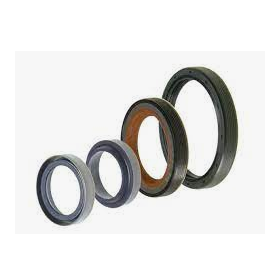 kit guarnizioni cambio zf 1290298920 iveco 93161137