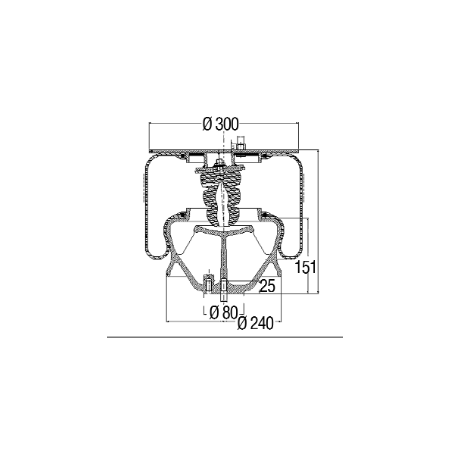 sospensione completa sx anteriore iveco 4827211