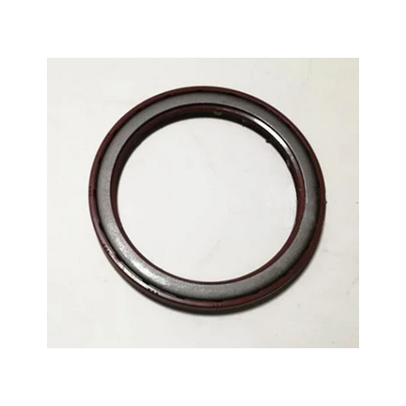 paraolio mozzo anteriore daily 4x4 48X62X10 iveco 40101353