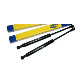 MOLLA A GAS SPORTELLO baulo L 315mm 250N IVECO 4851481
