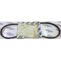 cinghia trapezoidale dentata avx10x1025 iveco 4814275 4818162 4818164
