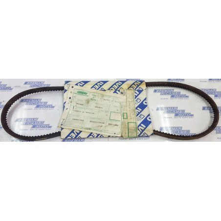 cinghia trapezoidale dentata avx10x1025 iveco 4814275 4818162 4818164