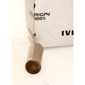 spinotto/perno crocera pignone differenz daily iveco 7162606 503641875