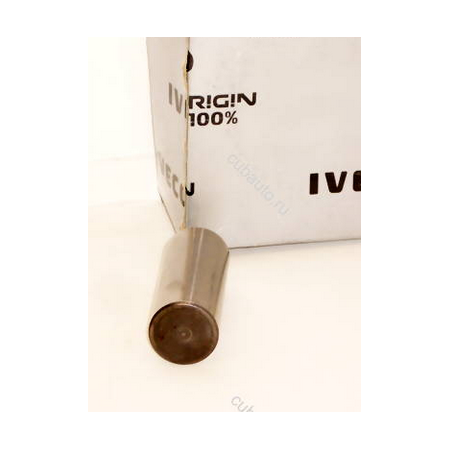 spinotto/perno crocera pignone differenz daily iveco 7162606 503641875