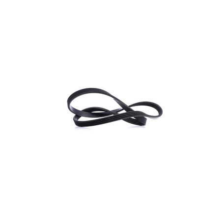 cinghia poly-v 4pk1102 iveco 5040087247 504048243 5801419157