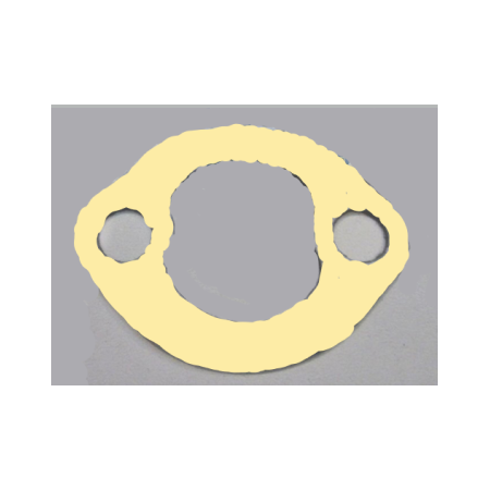 guarnizione piana motore iveco 61319050