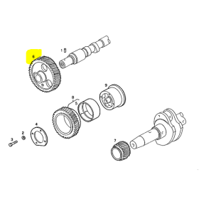 ingranaggio comando albero a games iveco 61316208