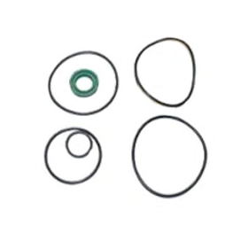 kit revisione pompa servosterzo iveco 42490520